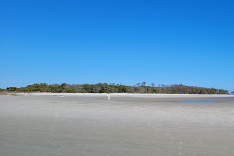 Savannah River Marsh : votre croisière inoubliable !