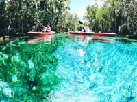 Crystal River, alquiler de kayak - Housity