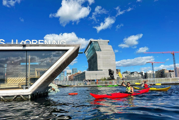 Tour di Oslo in kayak di mare "Città dei fiordi