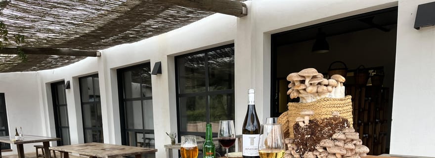 VISITE GUIDÉE + DÉGUSTATION DANS UNE CHAMPIGNONNIÈRE