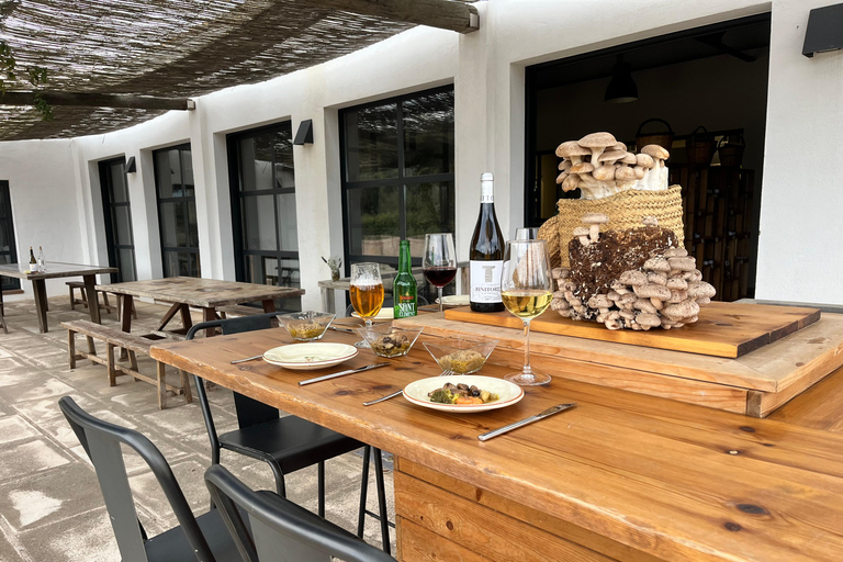 Gastronomic experience in mushroom cultivation