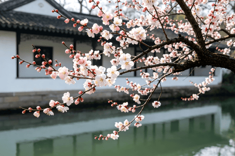 Hangzhou Xixi Wetland: Off the Beaten Path Rowboat & Stroll