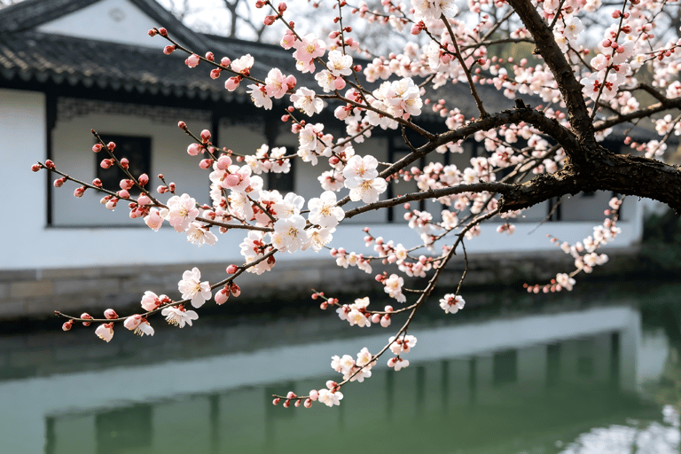 Hangzhou Xixi Wetland: Off the Beaten Path Rowboat & Stroll