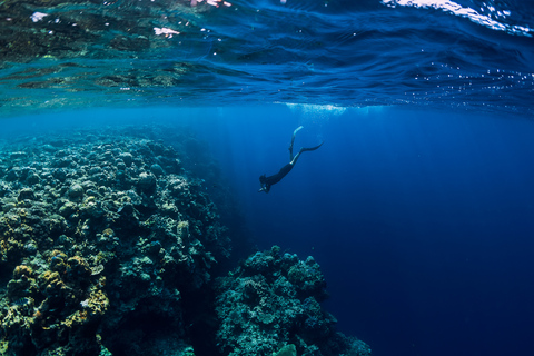 Descubre el buceo en Dubái