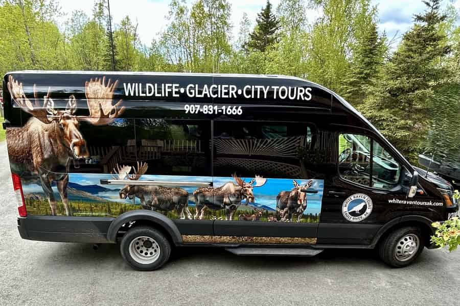 Seward: Nach Anchorage Ganztagestour mit Abholung am Hafen. Foto: GetYourGuide