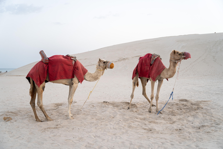 Doha: Full day Overnight & Day pass in Pvt Desert Beach Camp Doha: Full day Dune Bashing with a meal in Desert Beach Camp