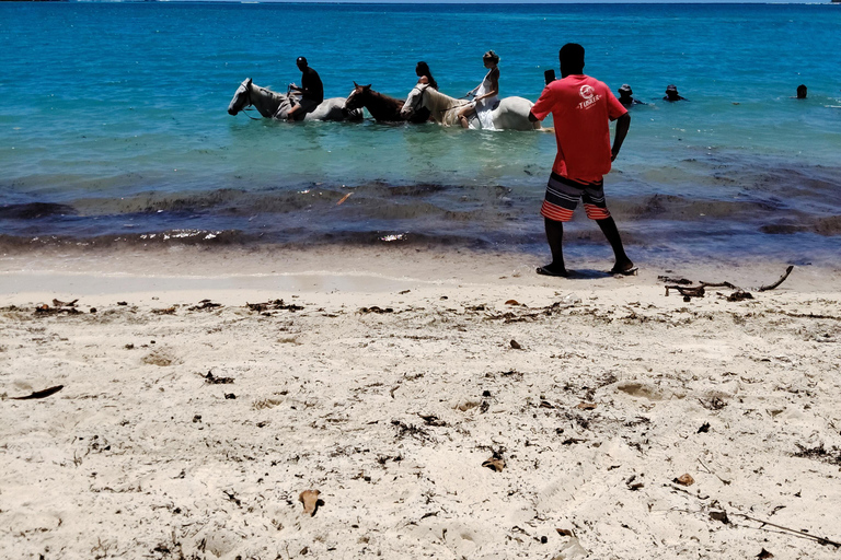 Port Vila: Blue Lagoon Tour and Snorkeling Blue lagoon cruise day