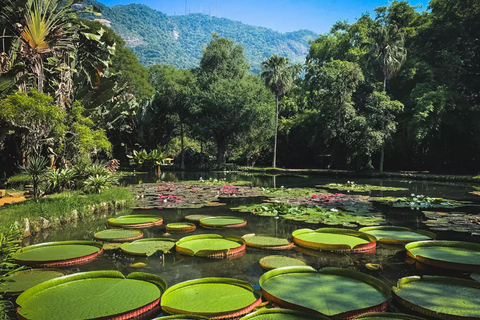 Visite guidée du jardin botanique et du parc Lage au cœur de Rio