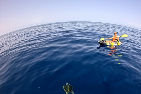 Tenerife: Turtle Bay - Kayak Rental with Drink and Equipment