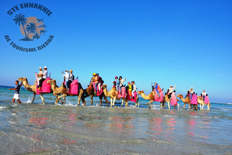 Djerba: Giro in cammello verso la Laguna Blu al tramonto