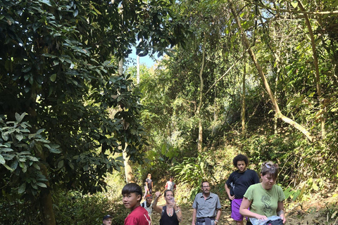 Nong Khiaw: 100 Waterfalls, Nam Ou & Khmu Village Day Tour