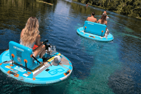 Silver Springs: Silver River GoBoat Rental GoBoat Single Two Hour Rental