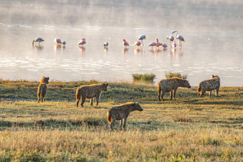From Nairobi: Lake Magadi 2-Day Trip with Game Drive & Hike
