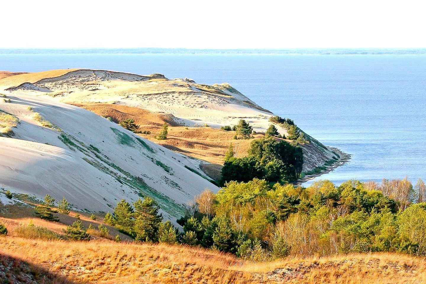 Коса гора. Дюна Эфа Калининград. Заповедник Куршская коса Нида. Куршская коса почва. Высота Эфа зимой.