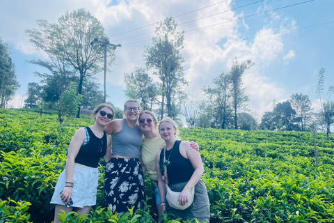 Sri Lanka Your Way: Private Custom Tour with Local Guide Hidden Kingdoms: Yapahuwa & Forgotten Temples Car Tour
