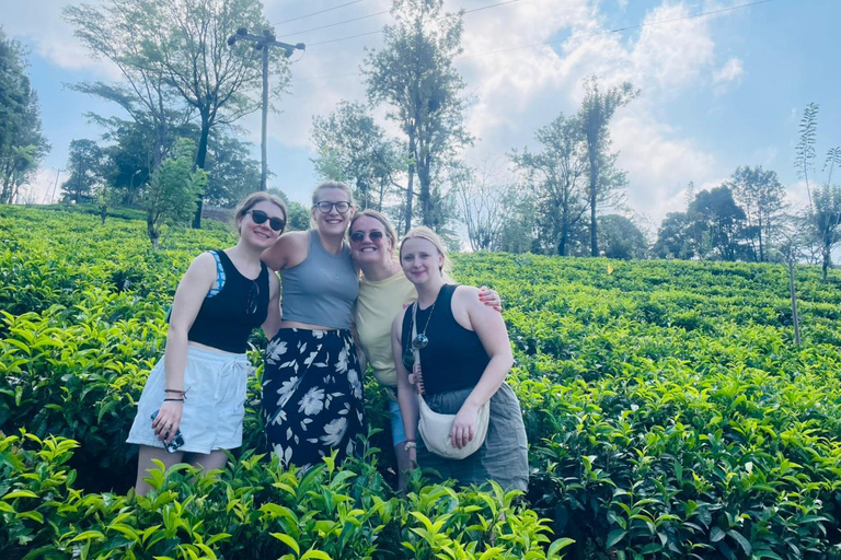 Sri Lanka Your Way: Private Custom Tour with Local Guide Hidden Kingdoms: Yapahuwa & Forgotten Temples Car Tour