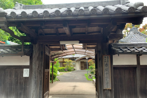 Nagoya: Besuch des morgendlichen Sumo-Trainings mit englischem Guide