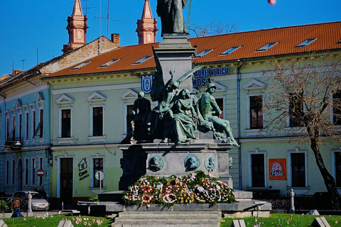 From Belgrade: Private Full-day Novi Sad & Sremski Karlovci Full-Day Private Tour