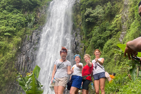 恩戈罗恩戈罗至吉力马扎罗山麓2日经济之旅恩戈罗恩戈罗至马特鲁尼和咖啡之旅（2 天经济之旅）