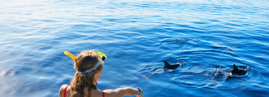 Bali : Merveilles marines de Lovina, nage avec les dauphins et plongée en apnée.