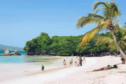 Punta Cana: Samaná Bay Whale Watching & Cayo Levantado