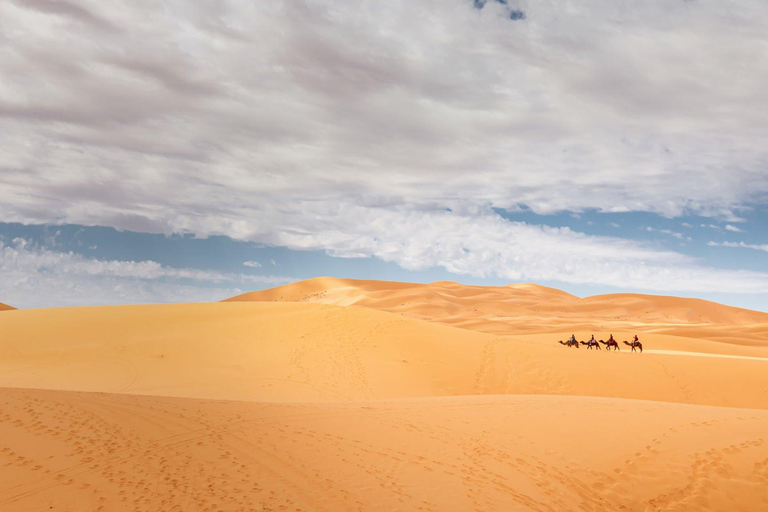 Från Agadir/Taghazout: Sahara sanddyner med transfer