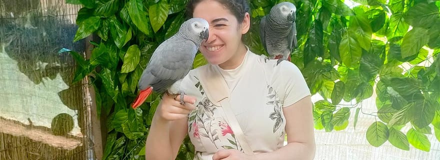 Le Caire : excursion guidée à l'Africa Safari Park avec déjeuner