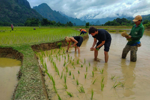 Vang Vieng: Guided Cultural Heritage & Waterfall Tour