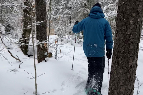 Guided Winter Snowshoe Adventure from Boston