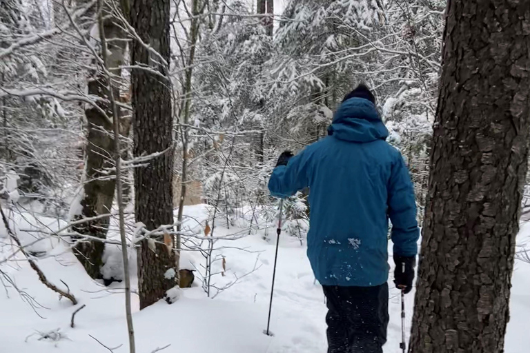 Guided Winter Snowshoe Adventure from Boston