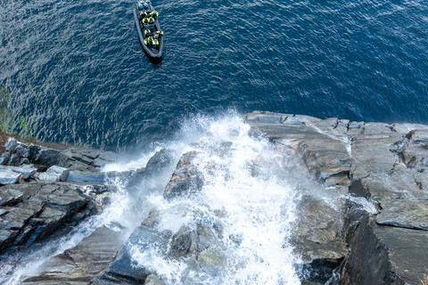 Bergen: Modalen RIB Fjord Safari with Lunch & Transfer