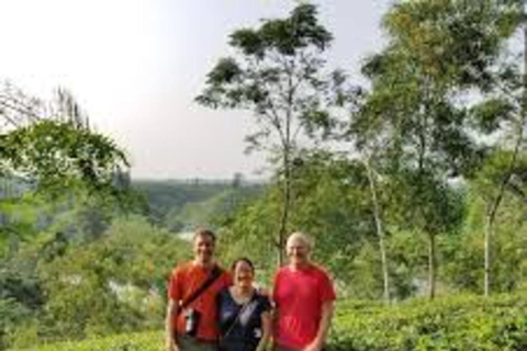 Desde Sylhet Excursión de 4 días al Jardín de Té y Selva Tropical de Srimangal