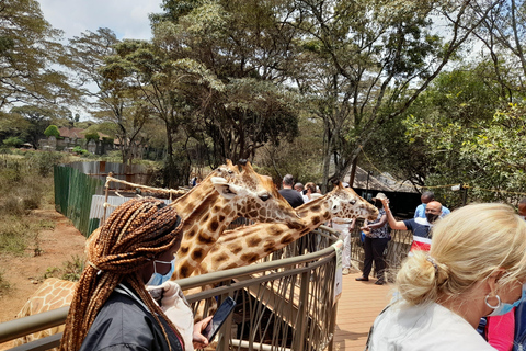 Nairobi: Parco nazionale, orfanotrofio degli elefanti e tour delle giraffe