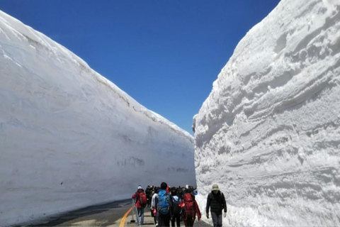 Nagoya: Shirakawa-go, Takayama & Snow Wall 2-Day Tour 1 person 1 room