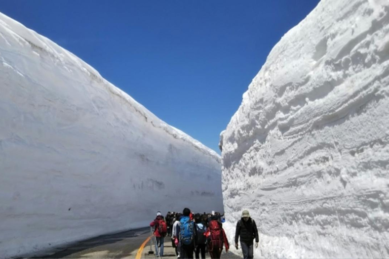 Nagoya: Shirakawa-go, Takayama & Snow Wall 2-Day Tour 1 person 1 room