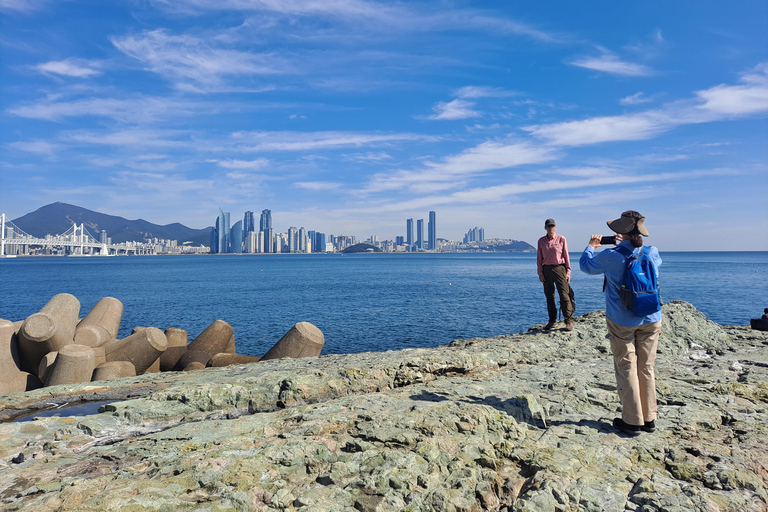Busan Igidae Coastal Walk & Korean Pancake Experience Wednesday Afternoon Schedule (2 PM Start)