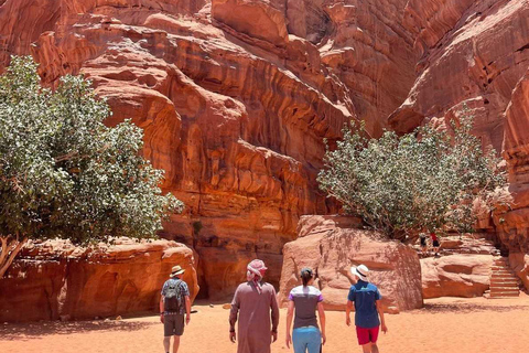 Wadi Rum All in One Day – The Ultimate Desert Discovery Wadi Rum All in One Day – The Ultimate Desert Discovery