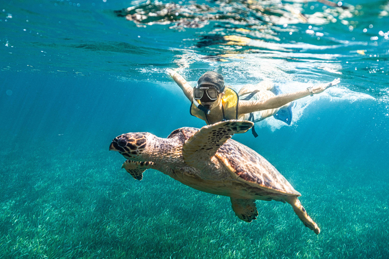 Cancun: Cruzeiro de Catamarã para Isla Mujeres com Snorkeling