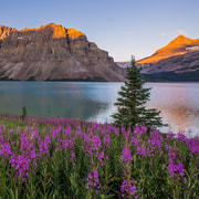 Moraine Lake and Iconic Sights of the Rockies Private Tour | GetYourGuide
