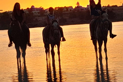 Djerba: Crossing the Lagoon on Horseback at Sunset Djerba: Horseback ride across the lagoon at sunset