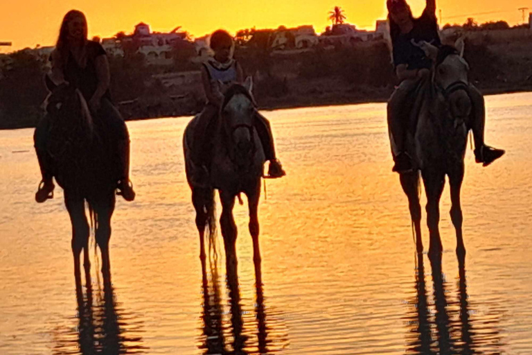 Djerba: Crossing the Lagoon on Horseback at Sunset Djerba: Horseback ride across the lagoon at sunset