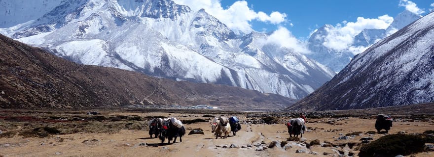 Trek guidé jusqu'au camp de base de l'Everest