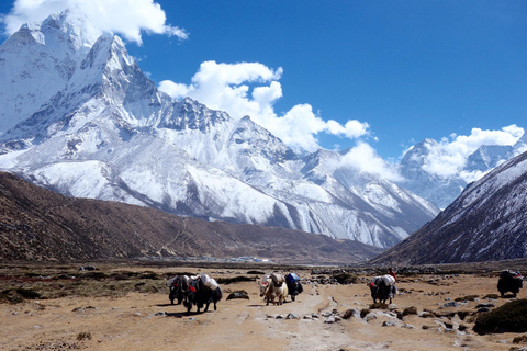 Guided Everest Base Camp Trek