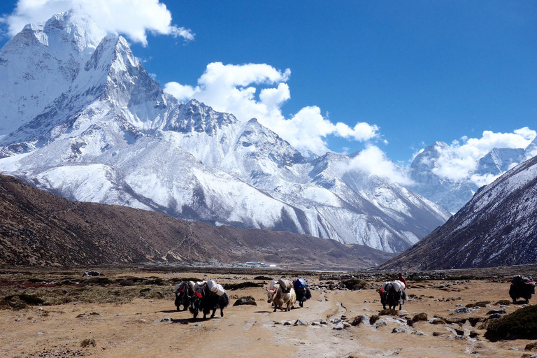 Guided Everest Base Camp Trek