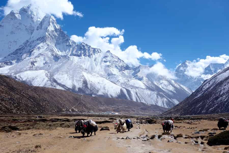Kathmandu: Helikopterflug zum Mount Everest mit Frühstück. Foto: GetYourGuide Kathmandu: Helikopterflug zum Mount Everest mit Frühstück. Foto: GetYourGuide
