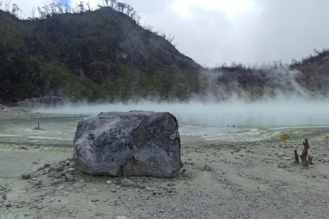 Vulcano, sorgenti calde, bagni di fango e tour del tè: tutto inclusoGiro aperto