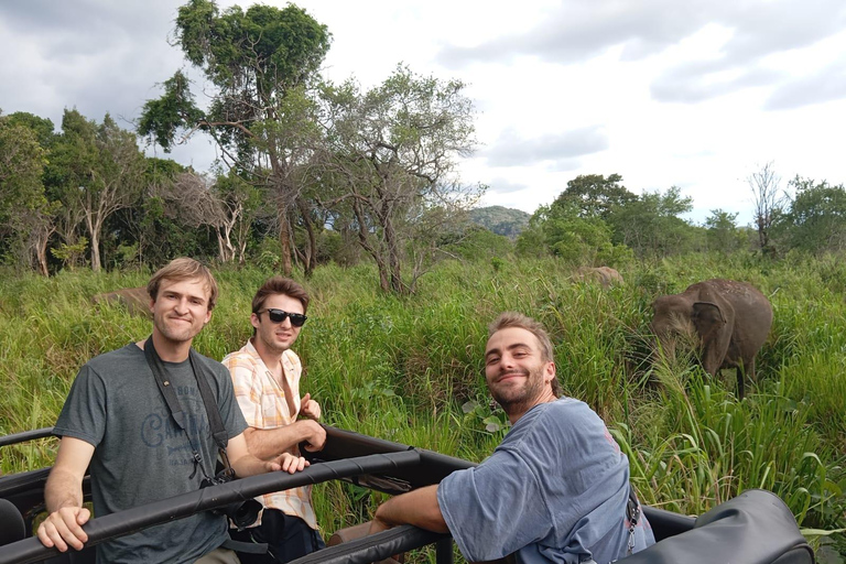 Desde Sigiriya: Safari de medio día en jeep por el Parque Nacional de Minneriya