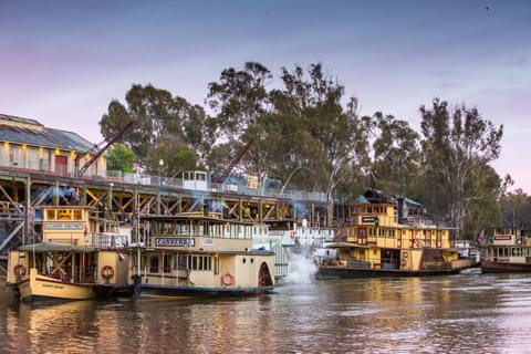 Melbourne: Murray River Paddle Steamer, Wine & Wildlife Tour - Image 2