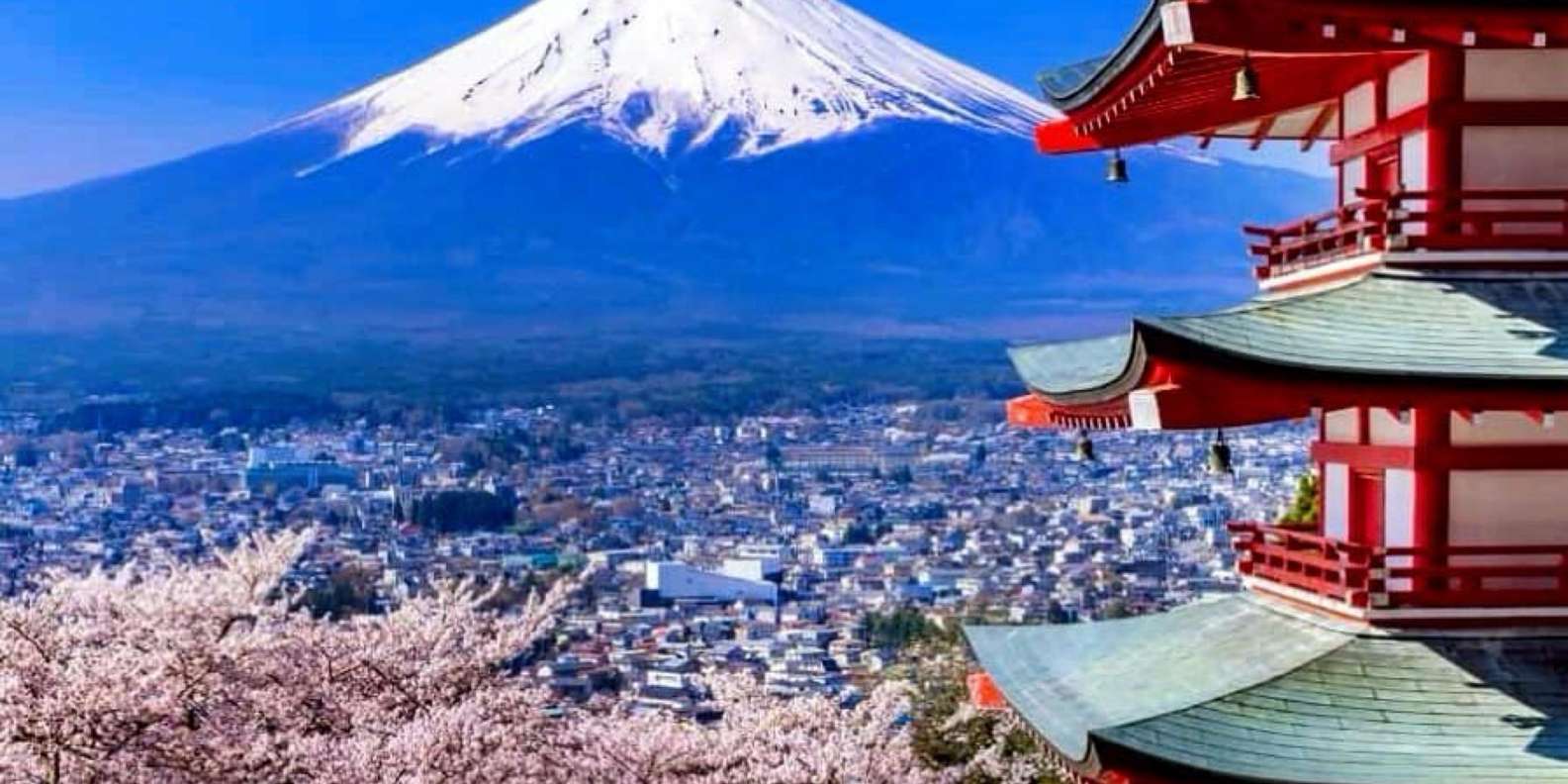From Tokyo: Mount Fuji Full Day Private Customized Tour