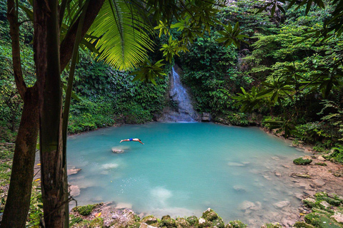 Cebu: Mantayupan Falls and Moalboal Sardines & Turtle Tour